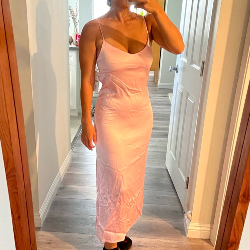 NWT Baby pink Zara dress